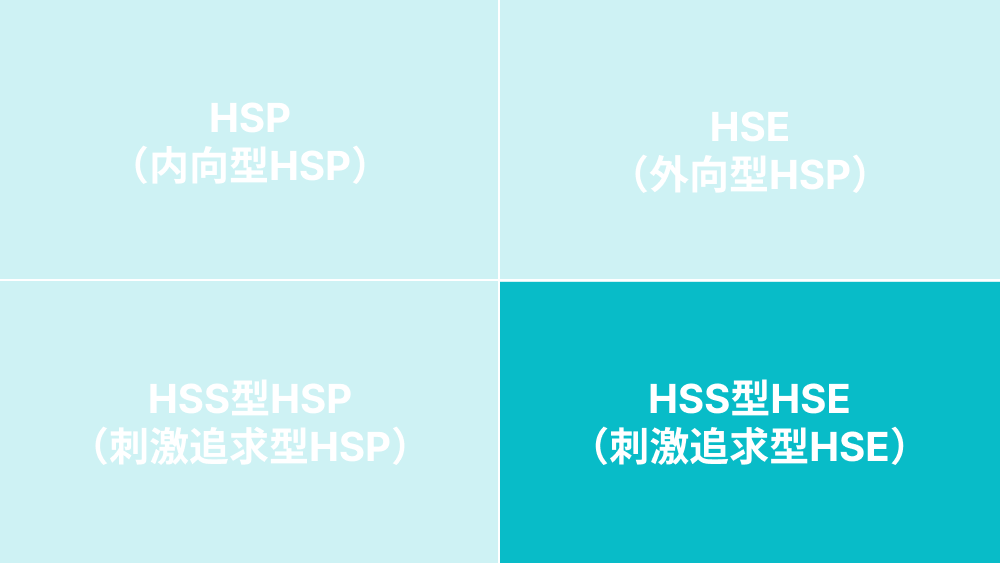 HSS型HSE